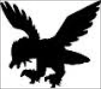 What is this Pokemon?