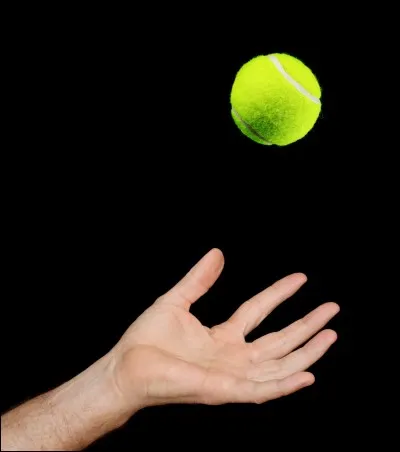 What is happening in this picture?