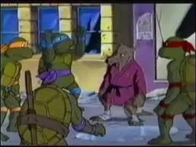 What's the name of the rat who's the master of the four Ninja Turtles?