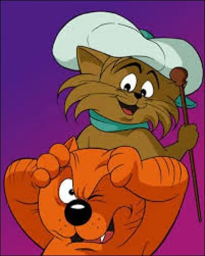 What are the names of these two cats?