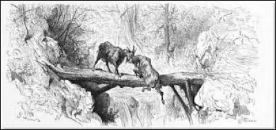 Who wrote a fable called Les Deux Chevres?