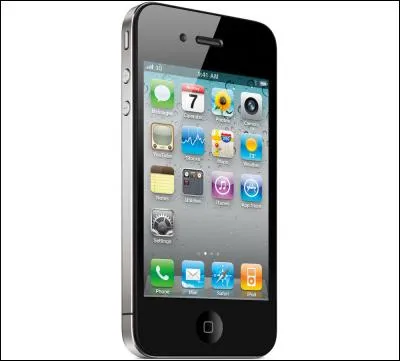 What is in the picture?