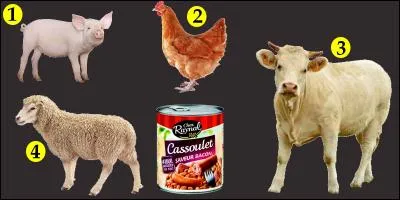 Who will end up in the can?