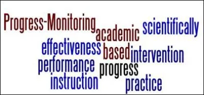 What does progress monitoring tools do?