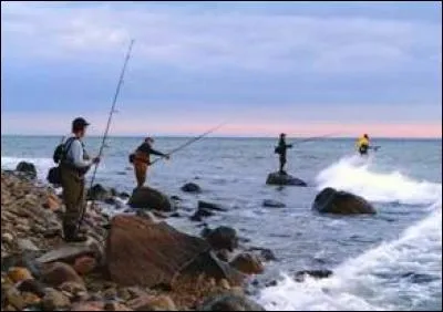When people fish NEAR the coast, we call it :