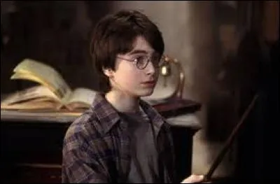 Daniel Radcliffe was in his bedroom when he found out he had the lead role.