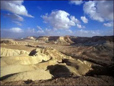 What is the name of the desert region in southern Israel?