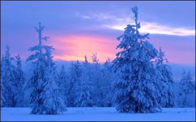 Where in Europe does the sun shine 24 hours a day in summer?