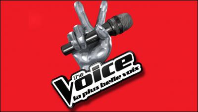 What channel does The Voice air on?