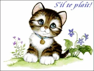 How do you say please in German?