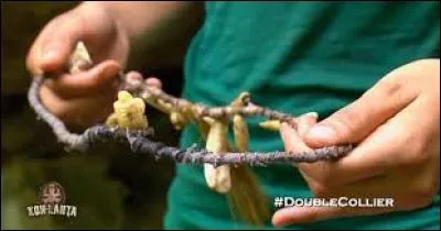 Which candidate managed to find two immunity necklaces on Necklace Island?