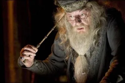 What does Professor Dumbledore do?