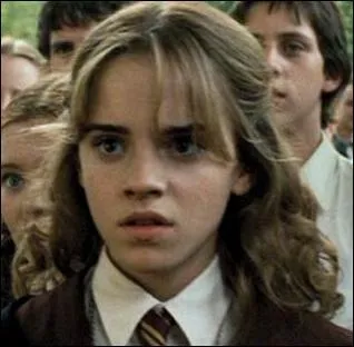 Which Harry Potter is Hermione in here?