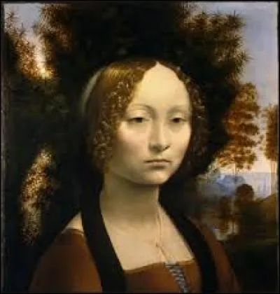 What is this work painted by Leonardo da Vinci?