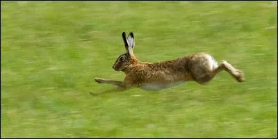 To find the right answer, there's no point in running, just starting off on the right foot!