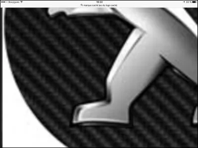 Which brand does this zoomed-in logo belong to?