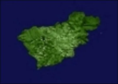 Which continent is this?