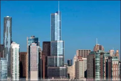 What's in the picture?