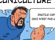 Quiz Quelques mots anciens, bizarres, peu connus…