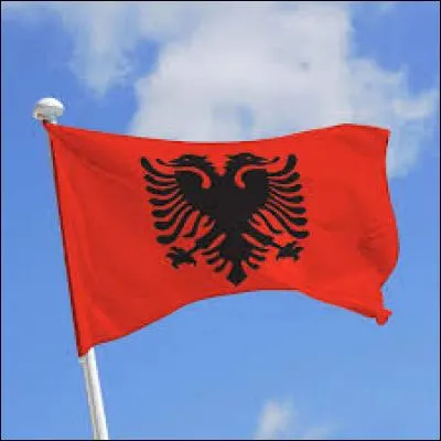Which country does this flag represent?