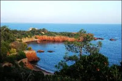 Which country is not bordered by the Mediterranean Sea?