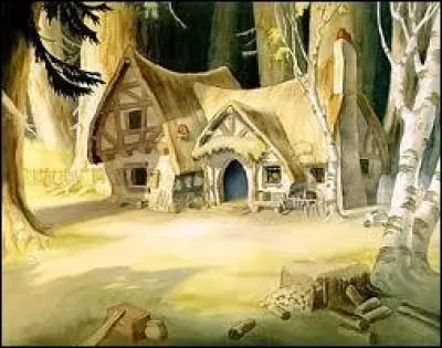 Snow White meets some animals who show her a house where she can stay. This house is...