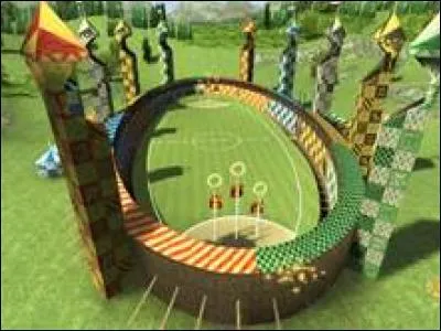 What sport does Harry play?