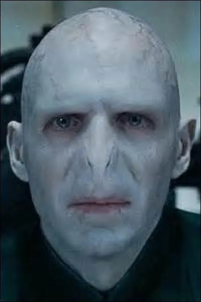 Who killed Voldemort?