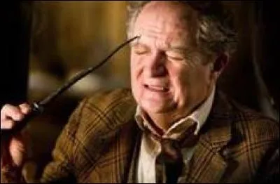 What subjects did Slughorn teach?