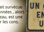 Quiz Expressions avec les mots « connerie », « cons »…