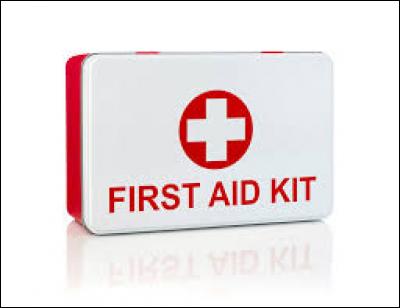 The band First Aid Kit comes from :