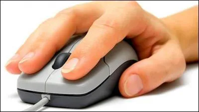 Find the animal using the picture!