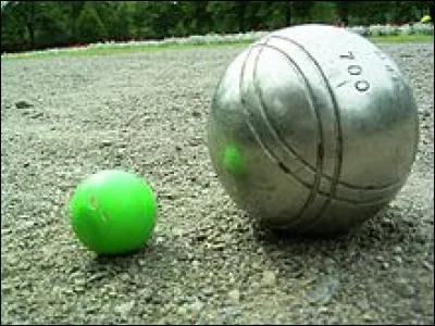 The smallest ball is the offspring of one of these animals. Find it!