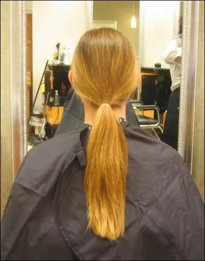 Which animal can be associated with this hairstyle?