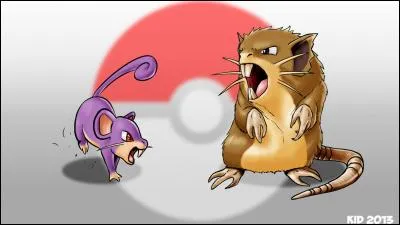 What color is Rattata?