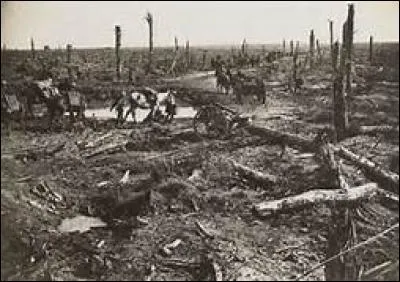 What do you call the area between enemy lines?