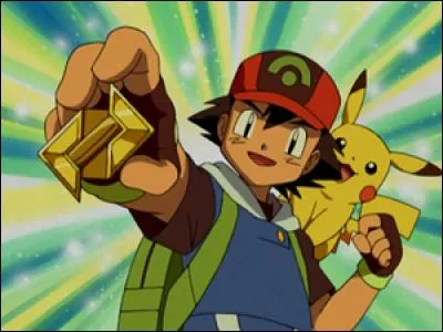 Why does Sacha collect badges?