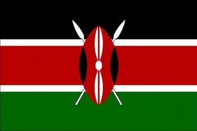 What country is this flag from?