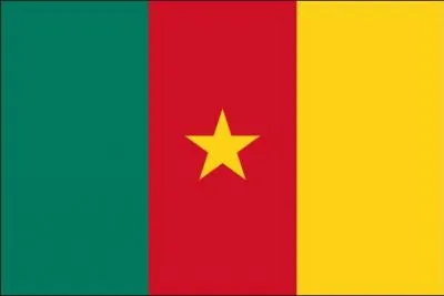 What country is this flag from?