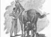 Quiz À cheval