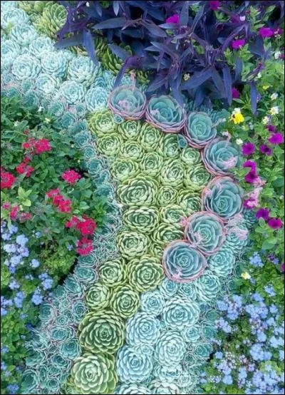 Is this a high water garden or a low water garden?