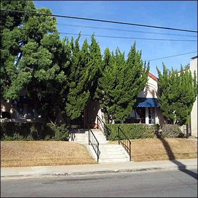 Is this a high water garden or a low water garden?