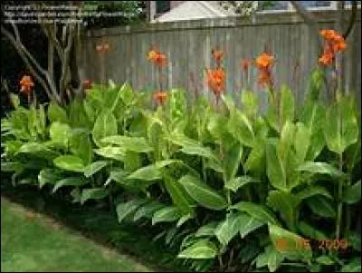 Is this a high water garden or a low water garden?