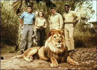 What is the name of the lion in the TV series Daktari?