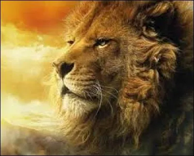 What is the name of the lion seen in the film The World of Narnia: The Lion, the White Witch and the Magic Wardrobe?