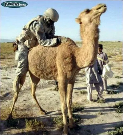 Rest assured, the GI has no ill intentions, it's simply to help you find the title!