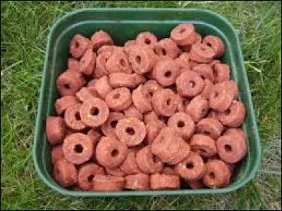 What color is used on Frolic dog food packages?