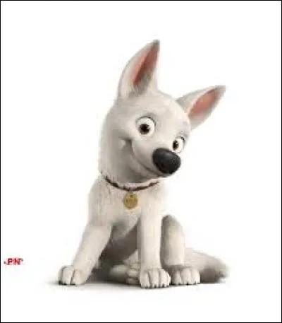 What's the name of a dog who's a star in spite of himself, according to the title of a Disney film?
