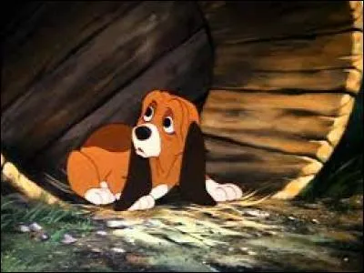 What is the breed of Rouky the dog in the Disney film Rox and Rouky?