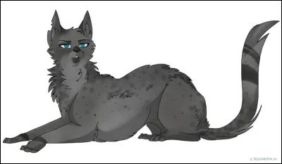 Which cat was murdered by Feuille de Houx?